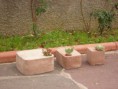 /album/novit%c3%a0/immagine-per-mostra-042-jpg/
